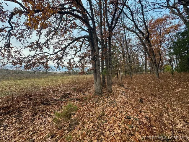 $573,300 | 88.2 Hwy Bb, Versailles, MO 65084