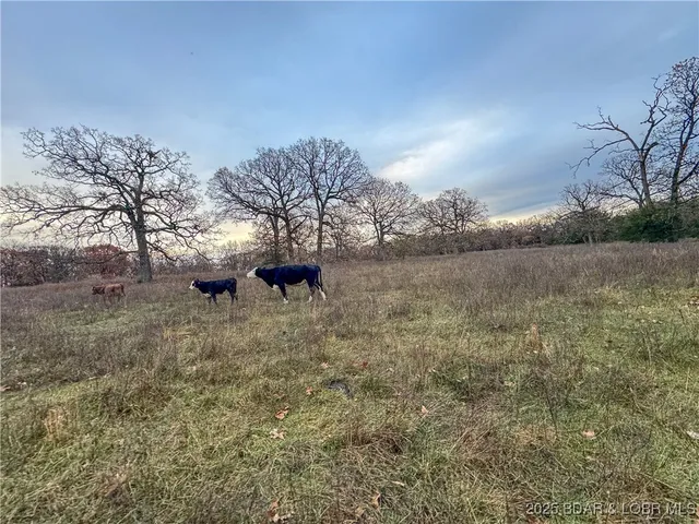 $573,300 | 88.2 Hwy Bb, Versailles, MO 65084