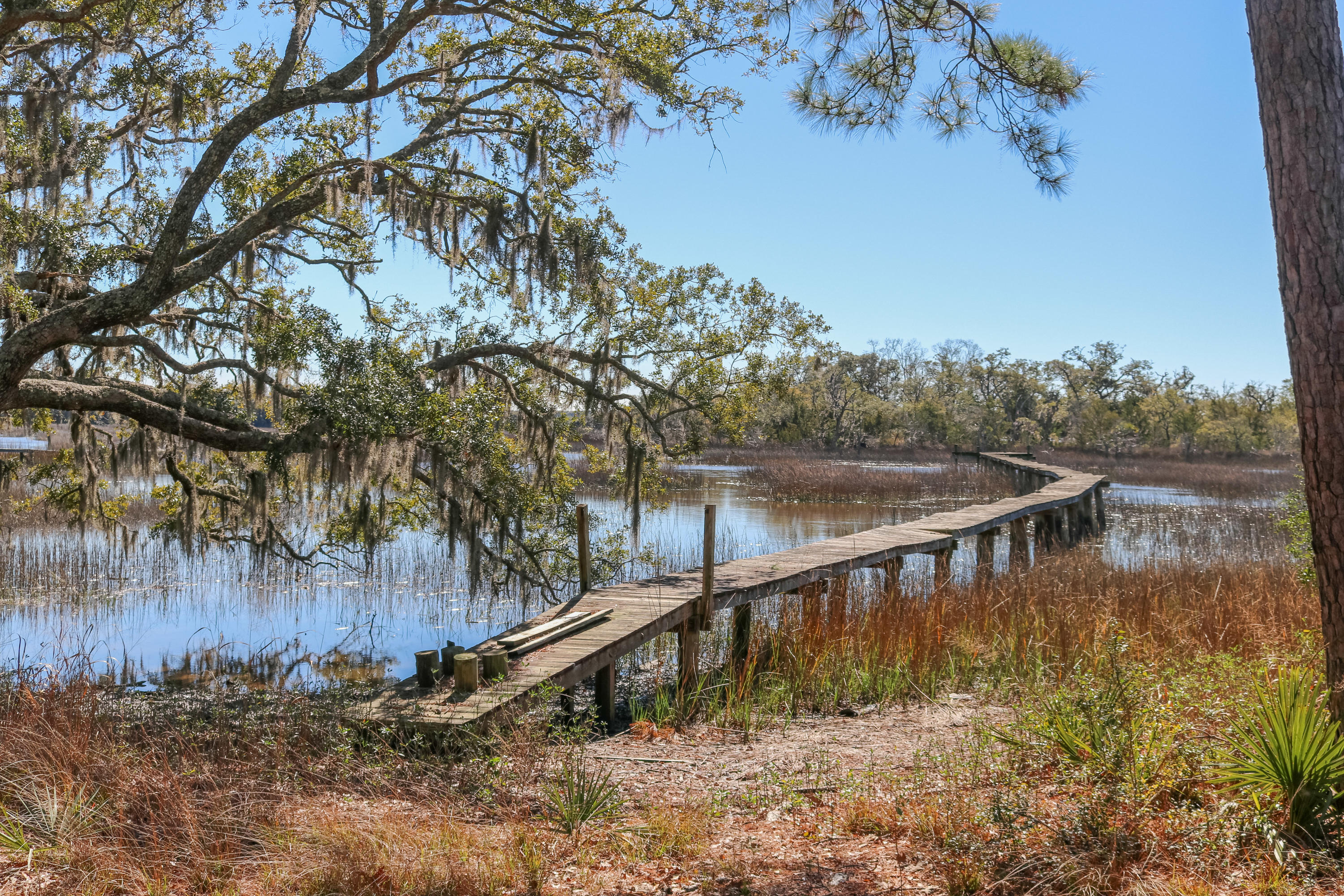 5575 Church Flats Road Meggett, SC 29449 - Photo 1 of 28 IMG_8634