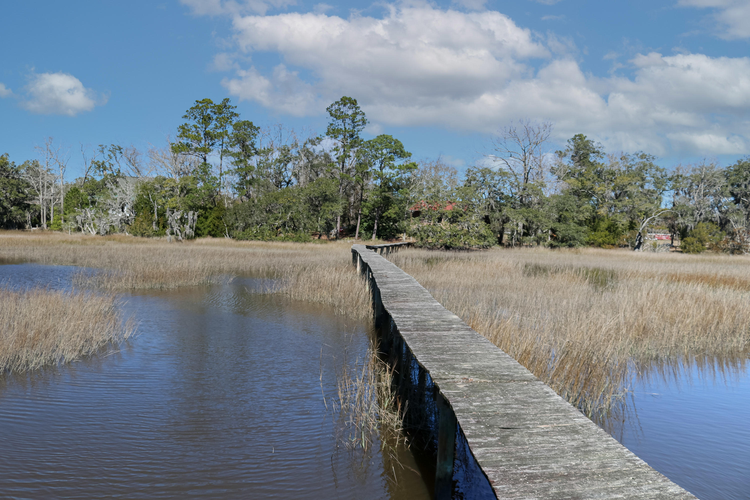 5575 Church Flats Road Meggett, SC 29449 - Photo 16 of 28 IMG_8638-Edit