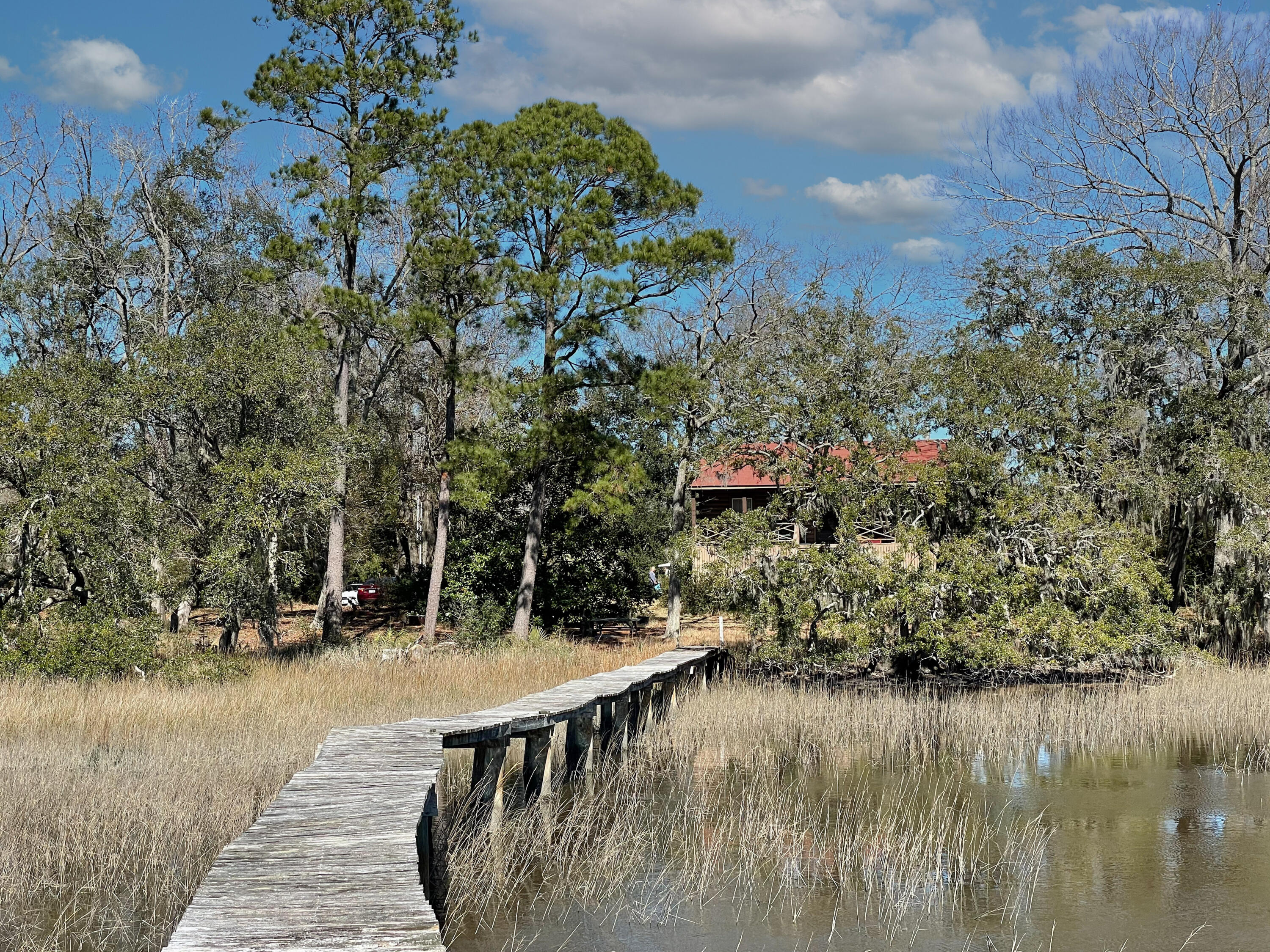 5575 Church Flats Road Meggett, SC 29449 - Photo 17 of 28 IMG_3935-Edit