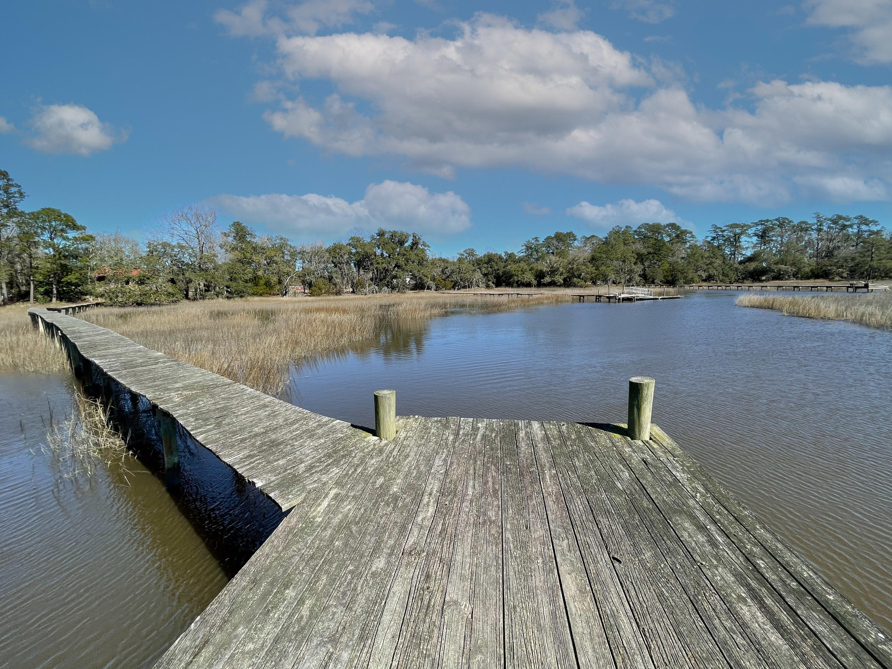 5575 Church Flats Road Meggett, SC 29449 - Photo 18 of 28 IMG_3931-Edit