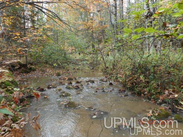 28662 South Wasas Road Mass City, MI 49948 - Photo 5 of 13