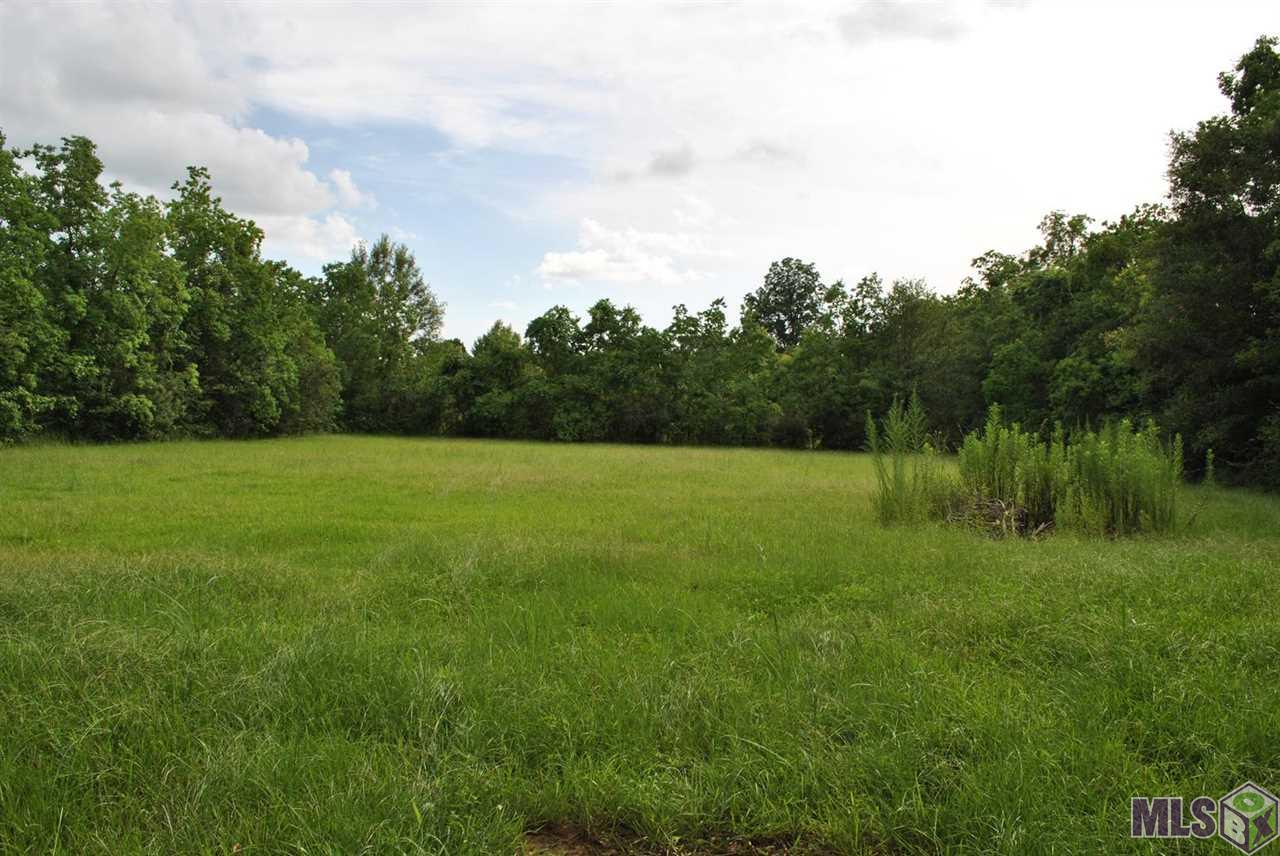 18233 John Broussard Road Prairieville, LA 70769 - Photo 25 of 27 Gallery Image 25