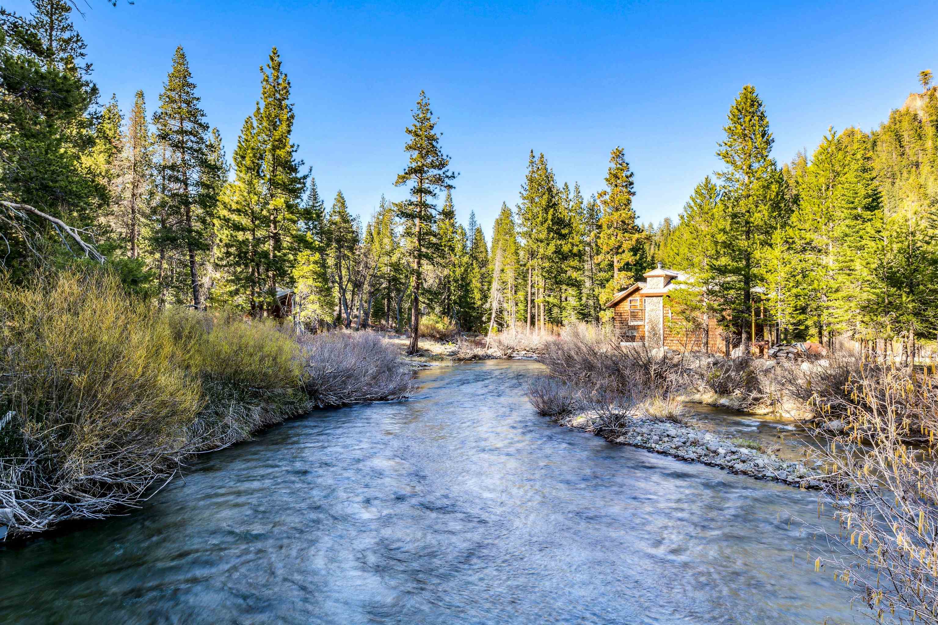 7898 River Road Truckee, CA 96161 - Photo 8 of 20 a view of a forest with trees