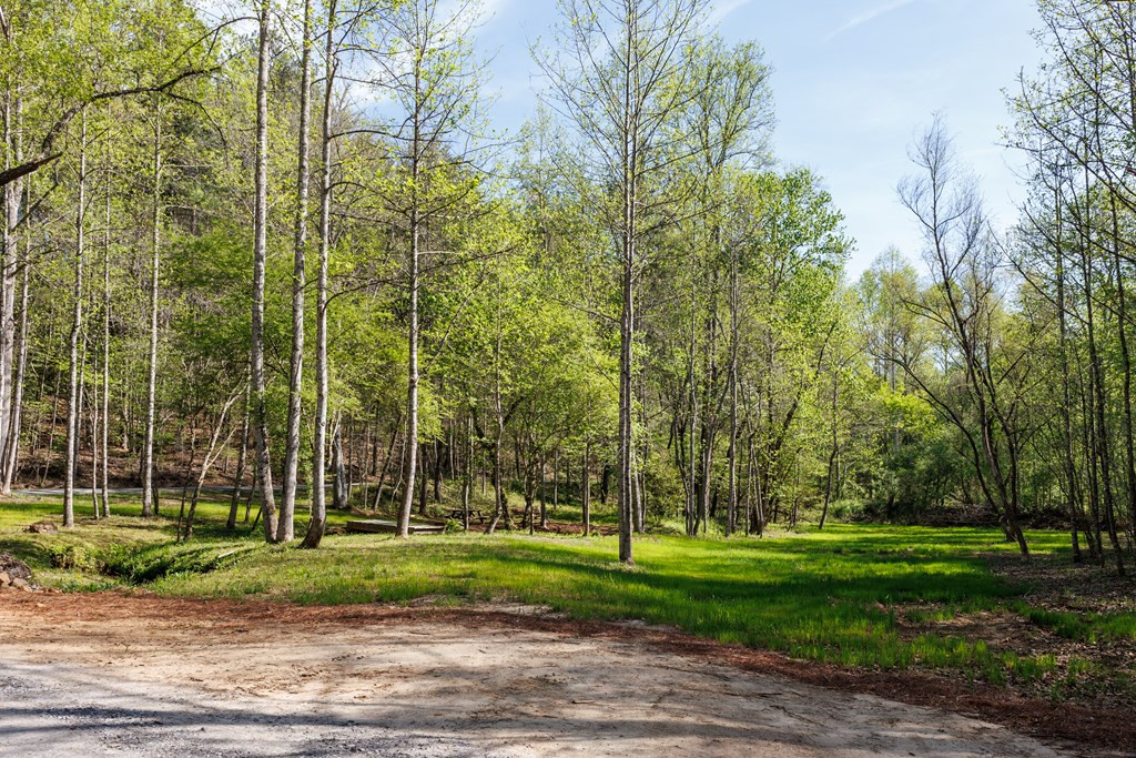 342 Hunter Ridge Murphy, NC 28906 - Photo 67 of 81