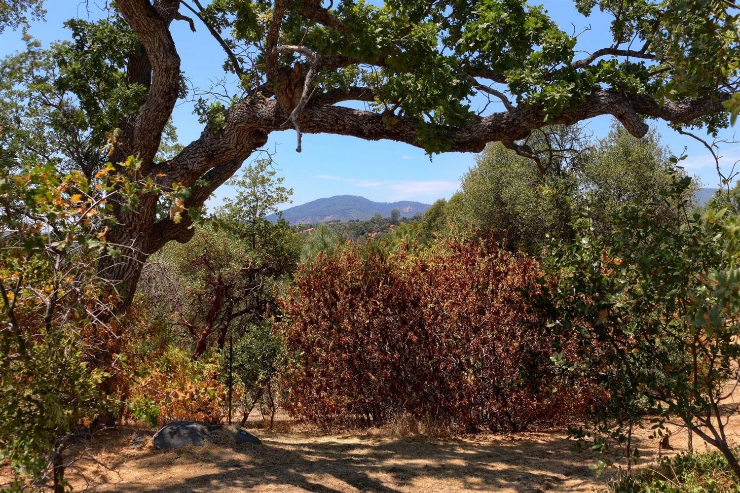 31928 Hartley Road North Fork, CA 93643 - Photo 31 of 40 Gallery Image 31