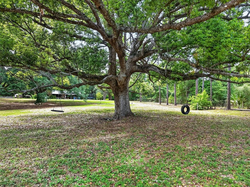 40635 Thomas Boat Landing Road Umatilla, FL 32784 - Photo 12 of 44 a view of outdoor space with garden
