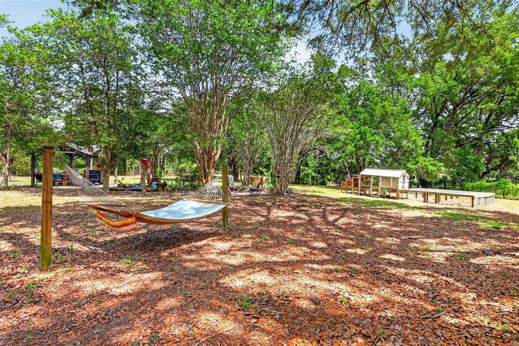 40635 Thomas Boat Landing Road Umatilla, FL 32784 - Photo 13 of 44 a view of a tree in the middle of a yard