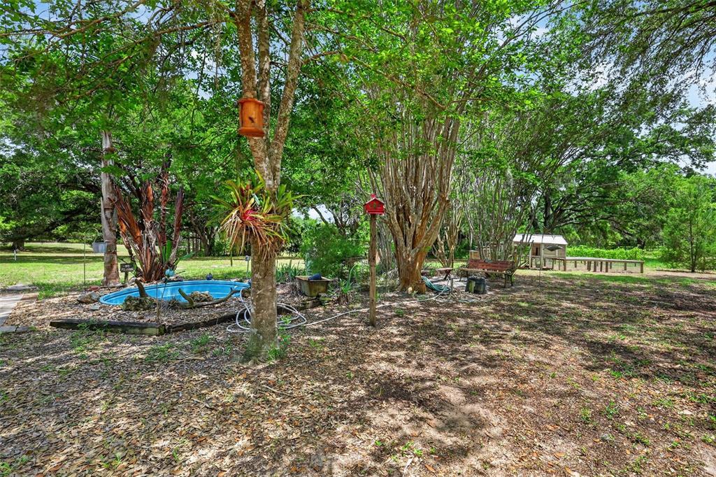 40635 Thomas Boat Landing Road Umatilla, FL 32784 - Photo 17 of 44