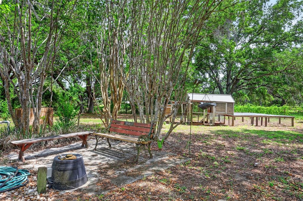 40635 Thomas Boat Landing Road Umatilla, FL 32784 - Photo 18 of 44