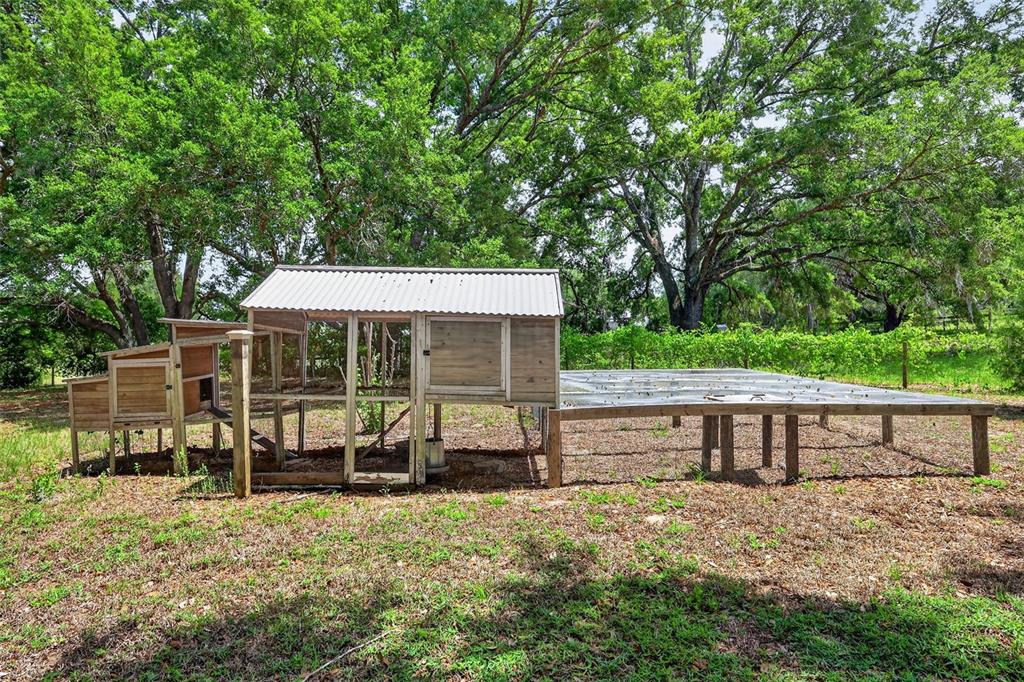40635 Thomas Boat Landing Road Umatilla, FL 32784 - Photo 19 of 44 a view of a house with backyard