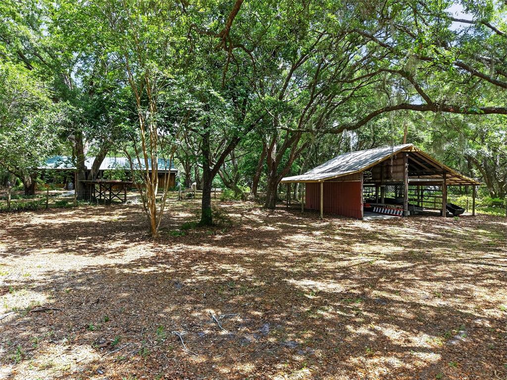40635 Thomas Boat Landing Road Umatilla, FL 32784 - Photo 41 of 44 a big room with lots of trees
