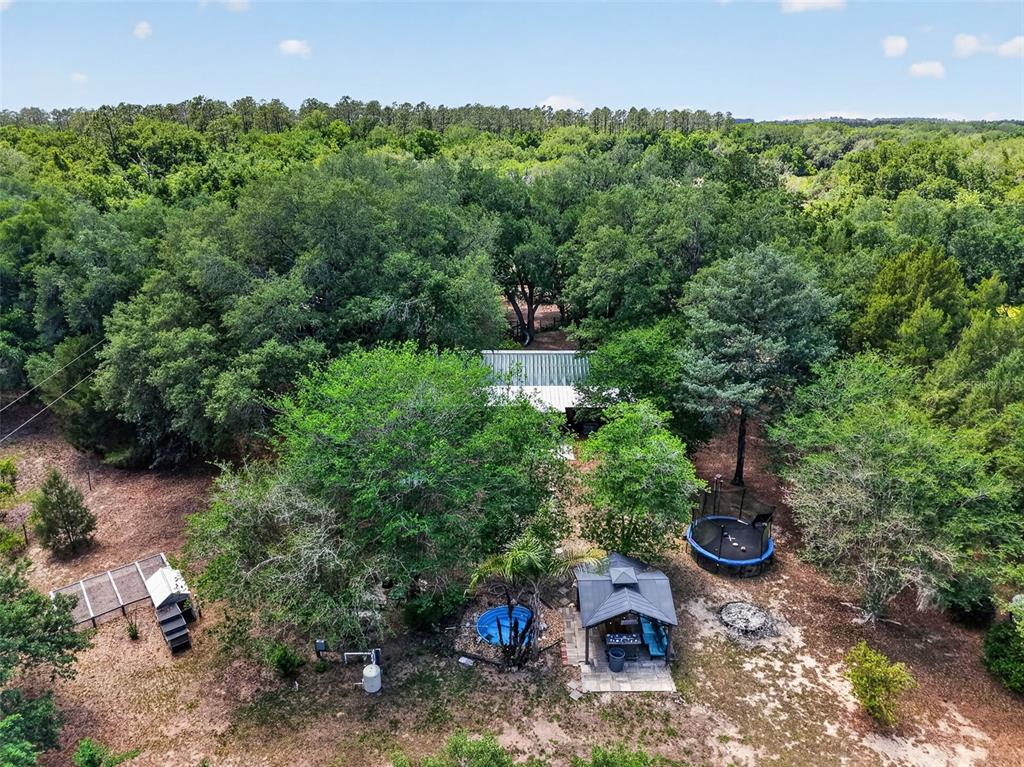 40635 Thomas Boat Landing Road Umatilla, FL 32784 - Photo 5 of 44 a backyard of a house with lots of green space