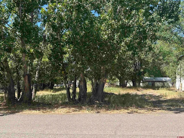 a view of a yard in front of a house