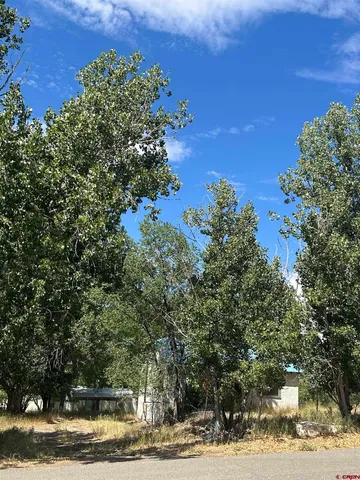 a view of a yard with an outdoor space