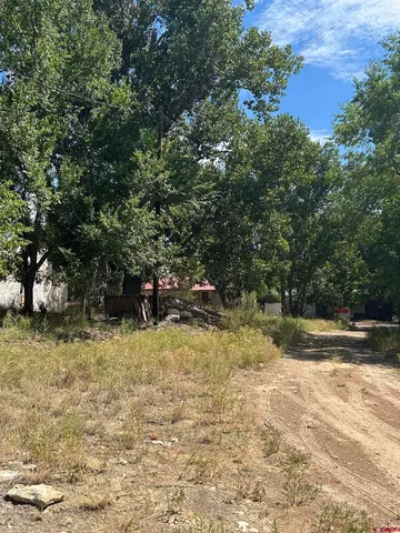 a view of a yard with trees