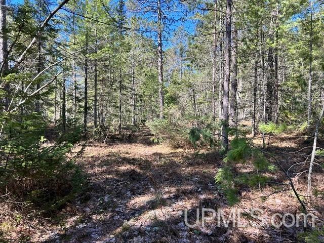 61 Little Rice Lk Road Lake Linden, MI 49945 - Photo 1 of 29