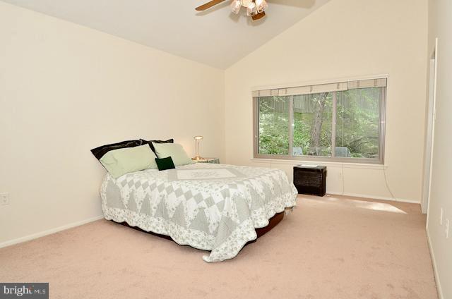 5919 Hall Street Springfield, VA 22152 - Photo 19 of 24 Bedroom (Master)