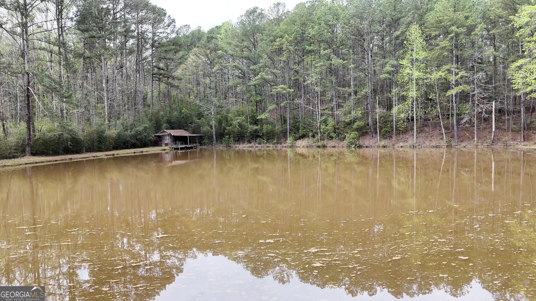 1351 New Franklin Road LaGrange, GA 30240 - Photo 3 of 52