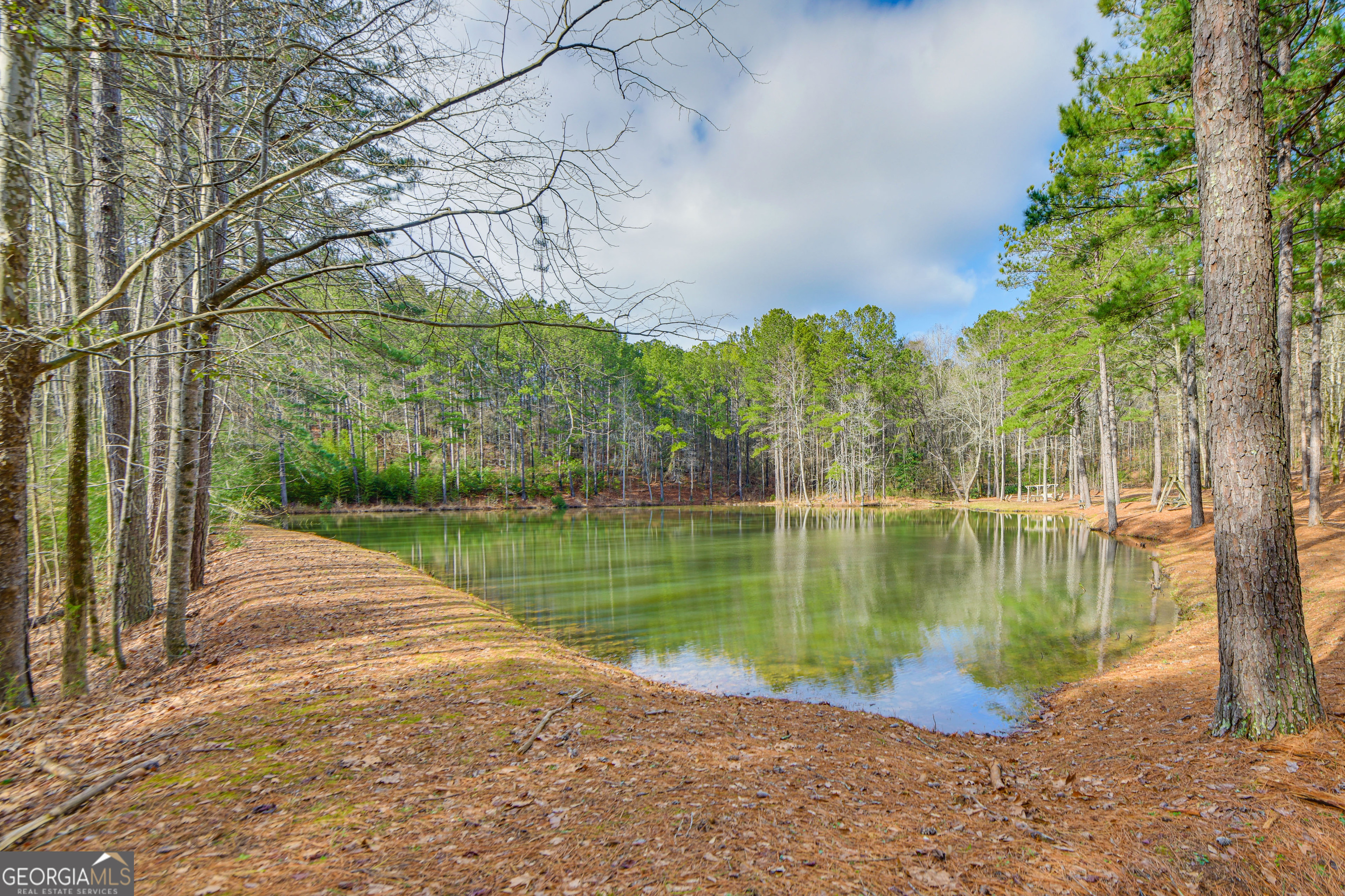 1351 New Franklin Road LaGrange, GA 30240 - Photo 4 of 52