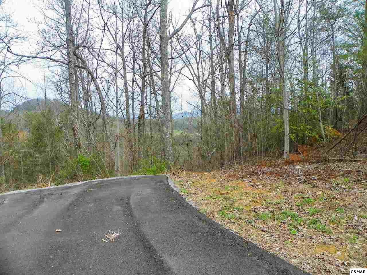6 Shadyview Ridge Road Sevierville, TN 37876 - Photo 6 of 8 Gallery Image 6