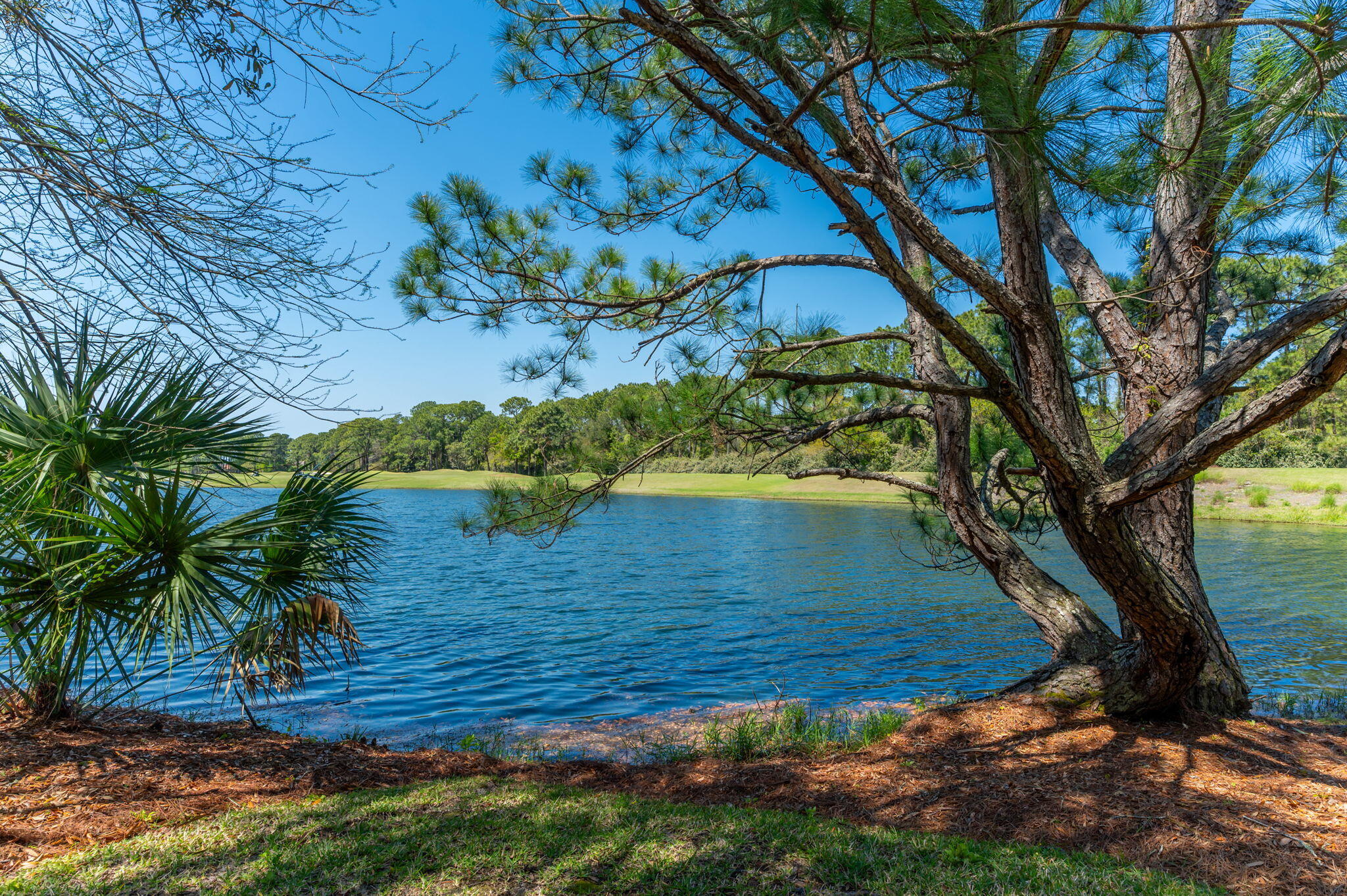 2943 Pine Valley Road Miramar Beach, FL 32550 - Photo 93 of 97 129-web-or-mls-2943-pine-valley-dr