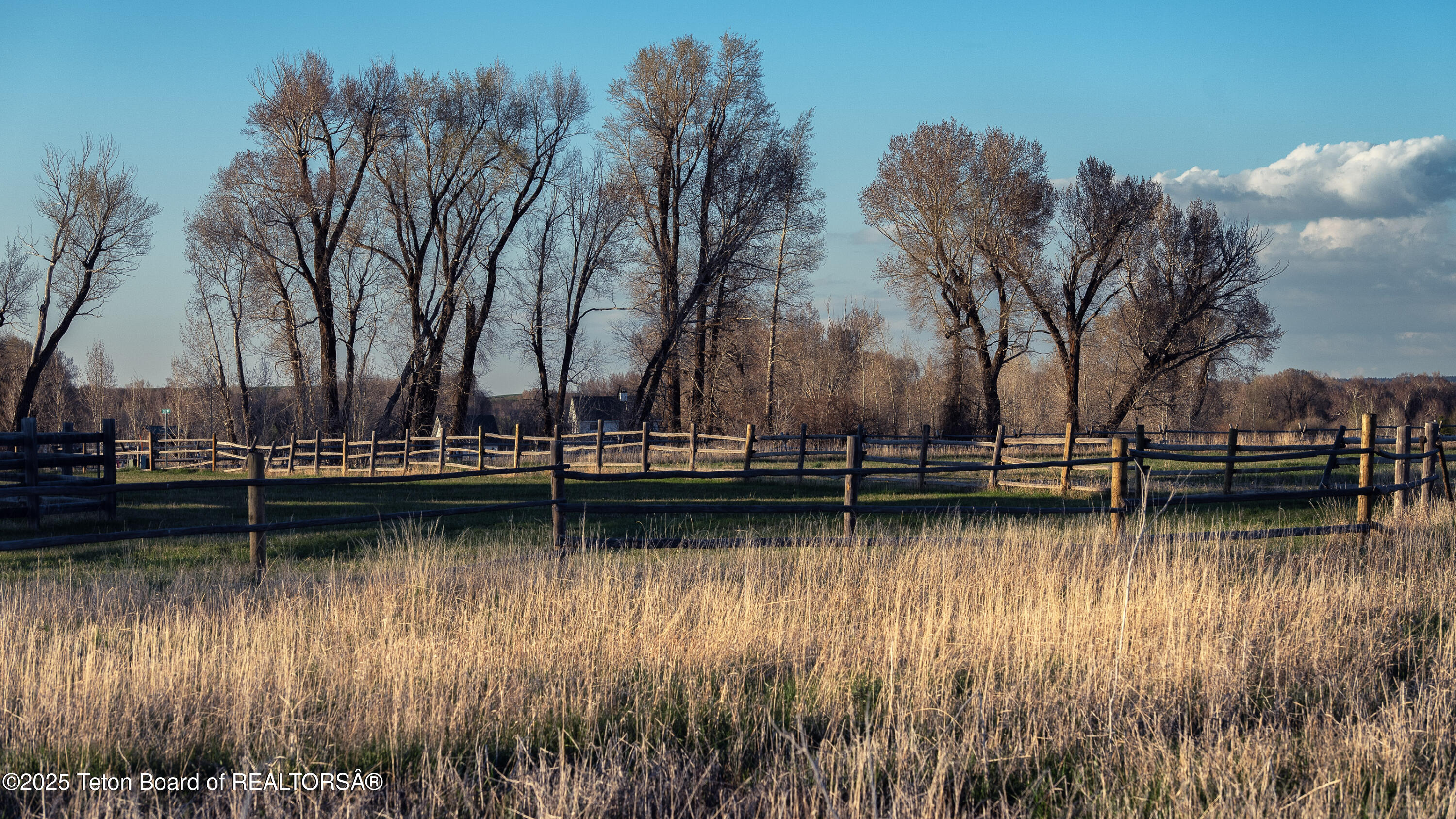 4550 Daisy Way Tetonia, ID 83452 - Photo 5 of 6 _DSF4812