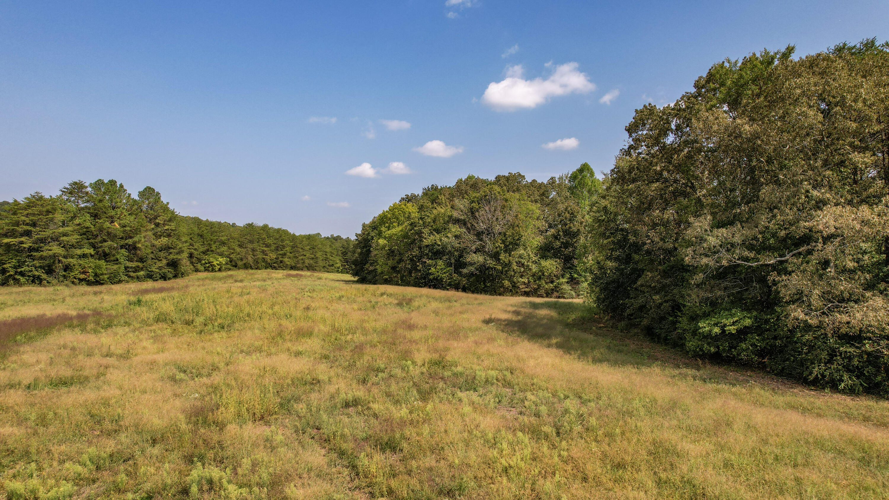 58.67-acre Bullens Road Ocoee, TN 37361 - Photo 5 of 27 5-DJI_0196