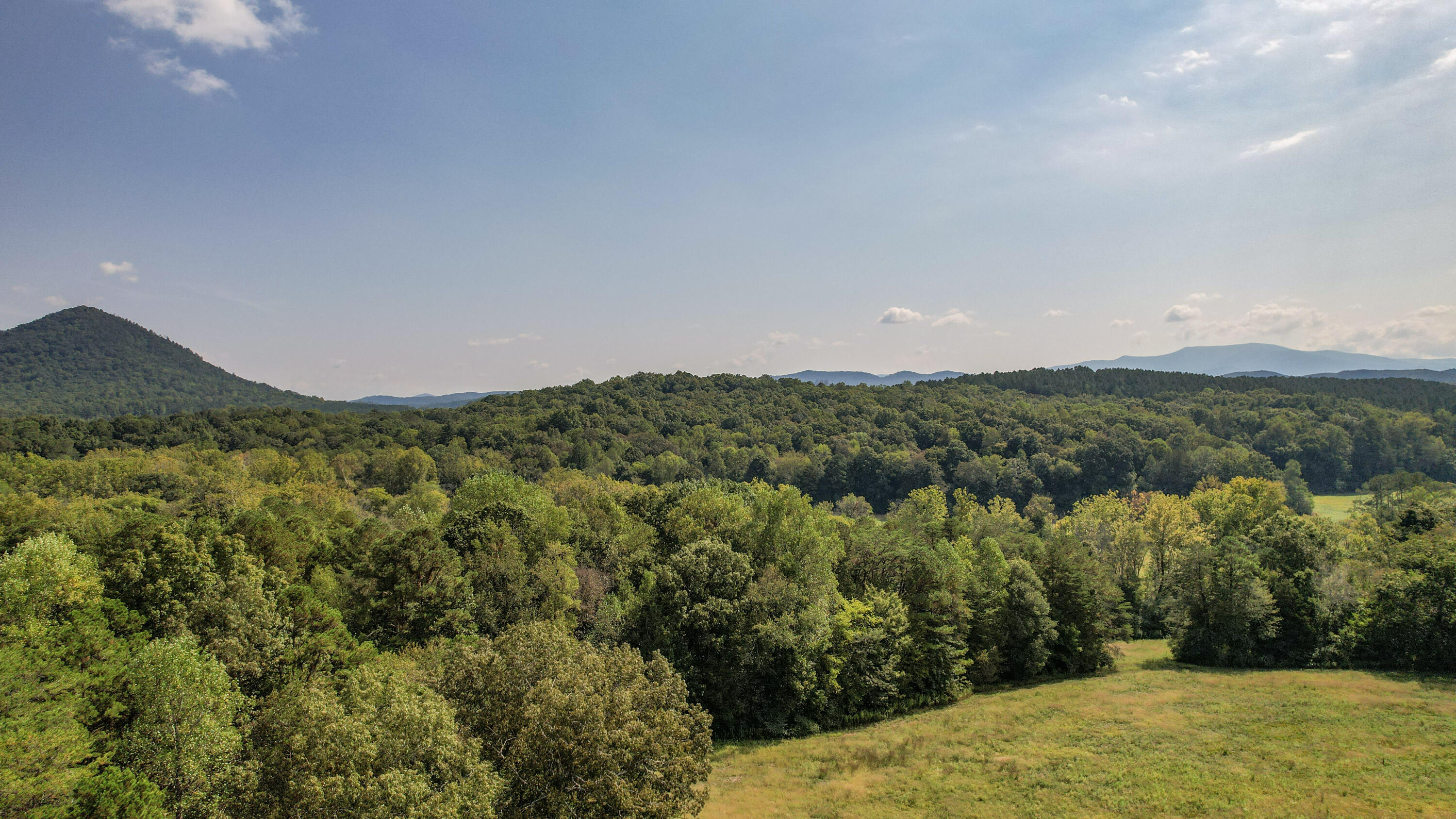 58.67-acre Bullens Road Ocoee, TN 37361 - Photo 10 of 27 10-DJI_0201