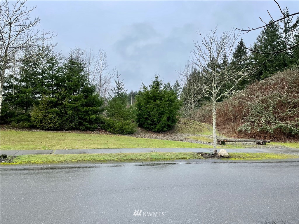 9520 Steilacoom Road Southeast Olympia, WA 98513 - Photo 2 of 3 Gallery Image 2