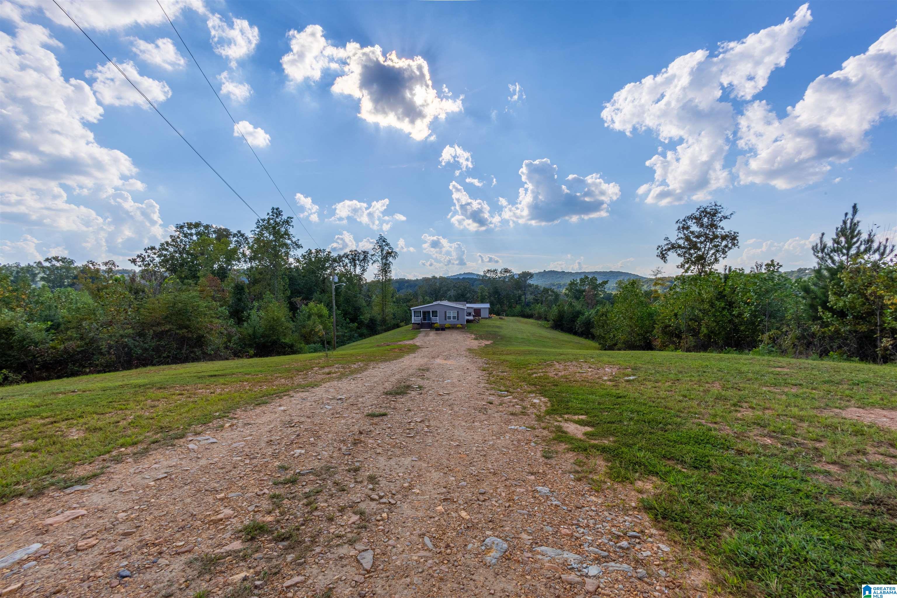 28 County Road 63 Ranburne, AL 36273 - Photo 38 of 47 Gallery Image 38
