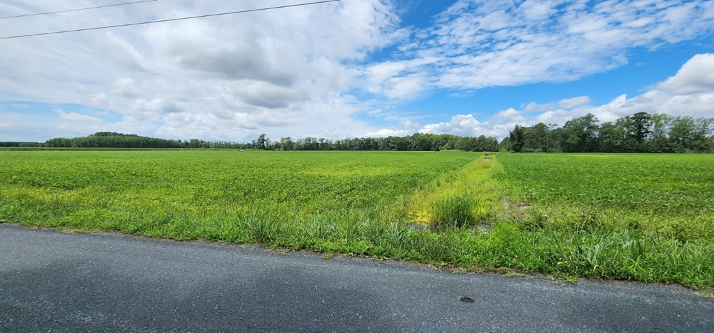 . Bullbeggar Road, Unit 21 Oak Hall, VA 23416 - Photo 2 of 6