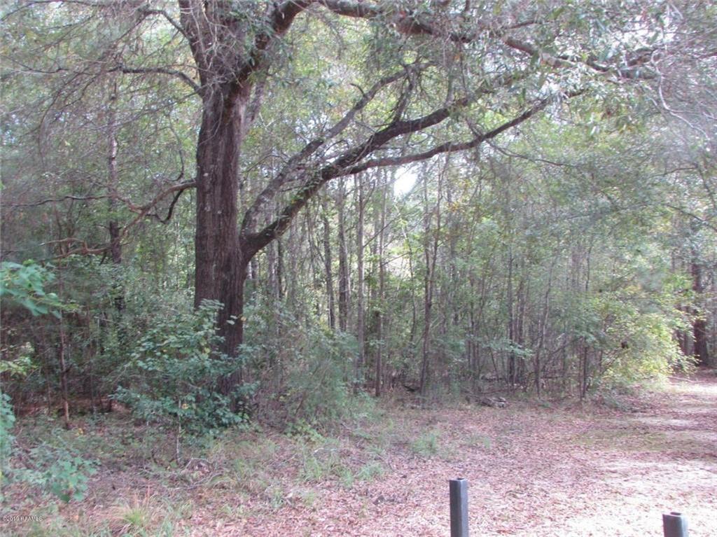 1104 Barrow Loop Starks, LA 70661 - Photo 14 of 19