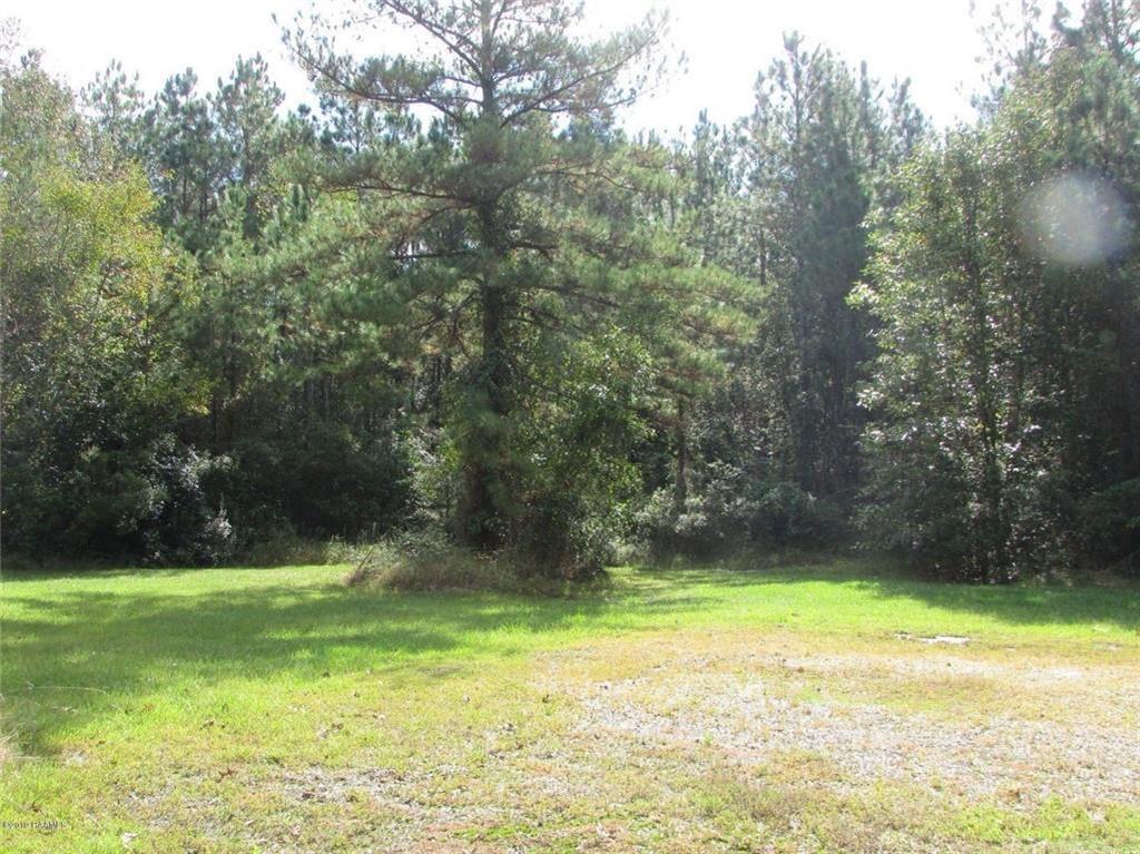 1104 Barrow Loop Starks, LA 70661 - Photo 2 of 19