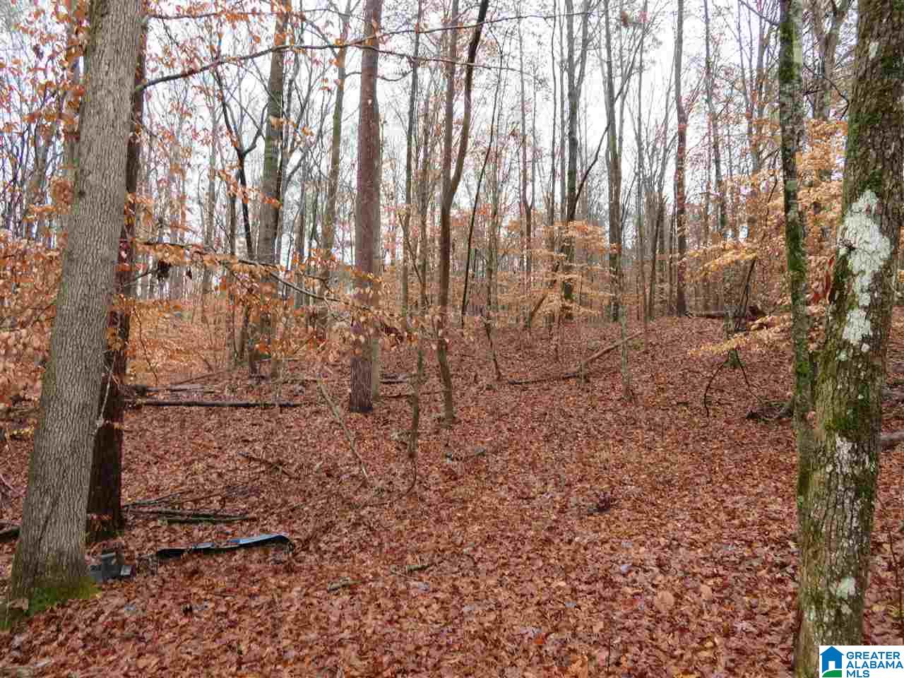 138 Cedar Grove Road West Blocton, AL 35184 - Photo 36 of 44