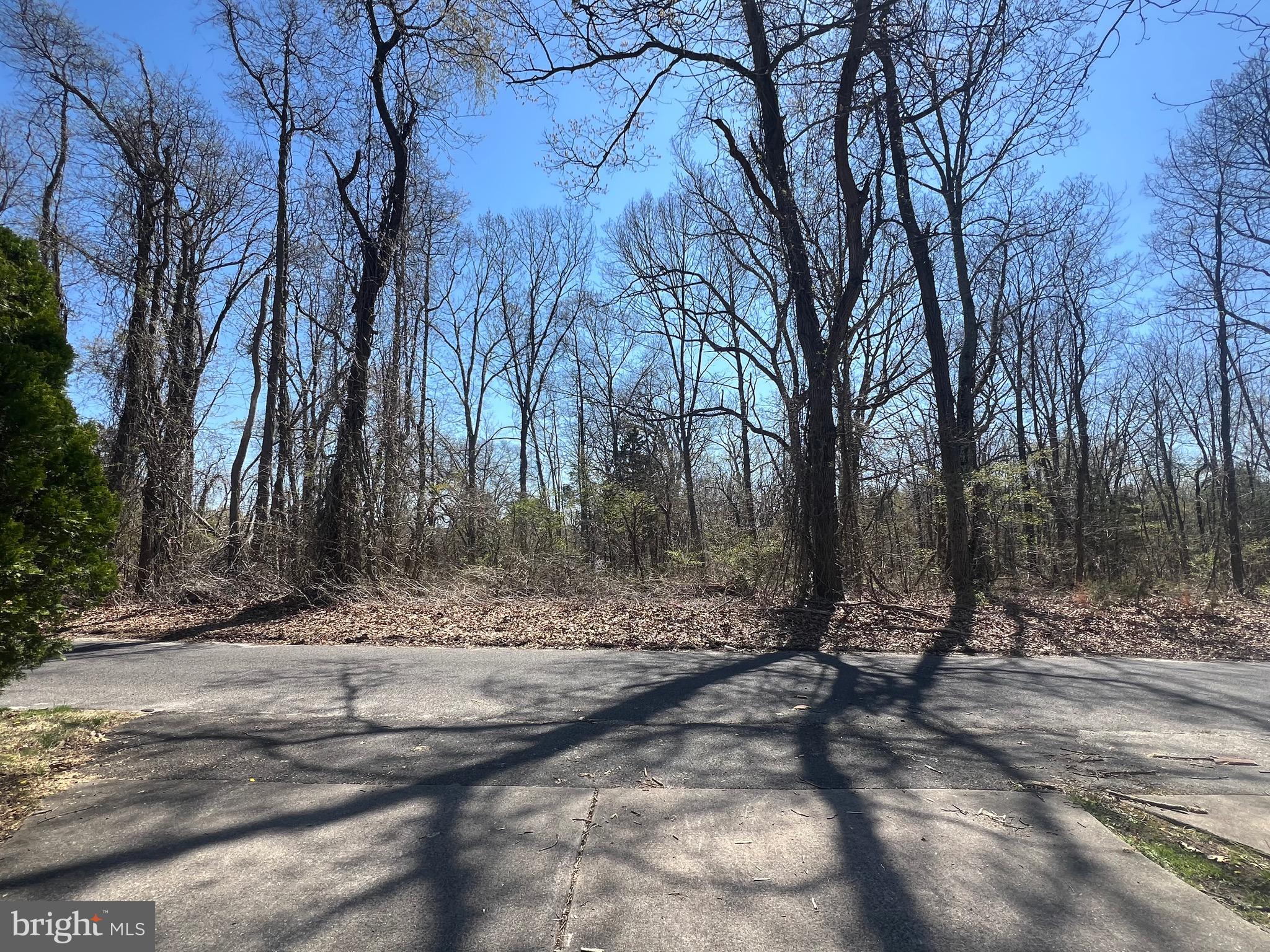 205 Hendricks Avenue Atco, NJ 08004 - Photo 5 of 13