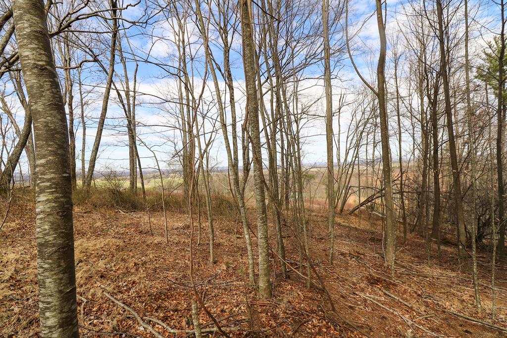 Tbd Tbd Keno Road, Unit 1 Laurel Fork, VA 24352 - Photo 13 of 20 Gallery Image 13