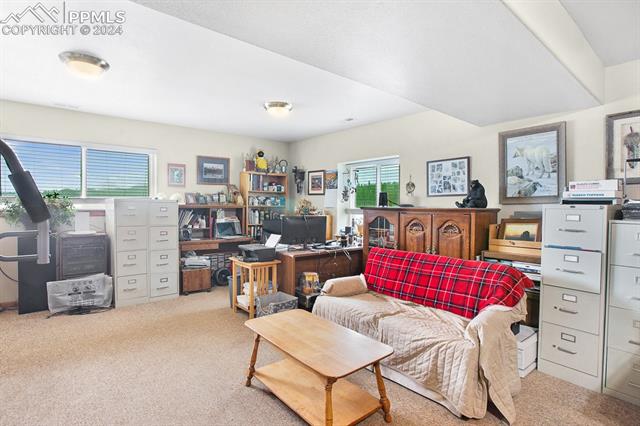 1321 Stoll Ranch Road Lake George, CO 80827 - Photo 33 of 50 Gallery Image 33
