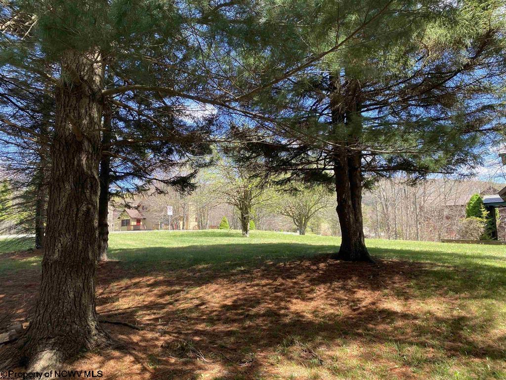 2524 Timberline Road Davis, WV 26260 - Photo 28 of 29 Gallery Image 28