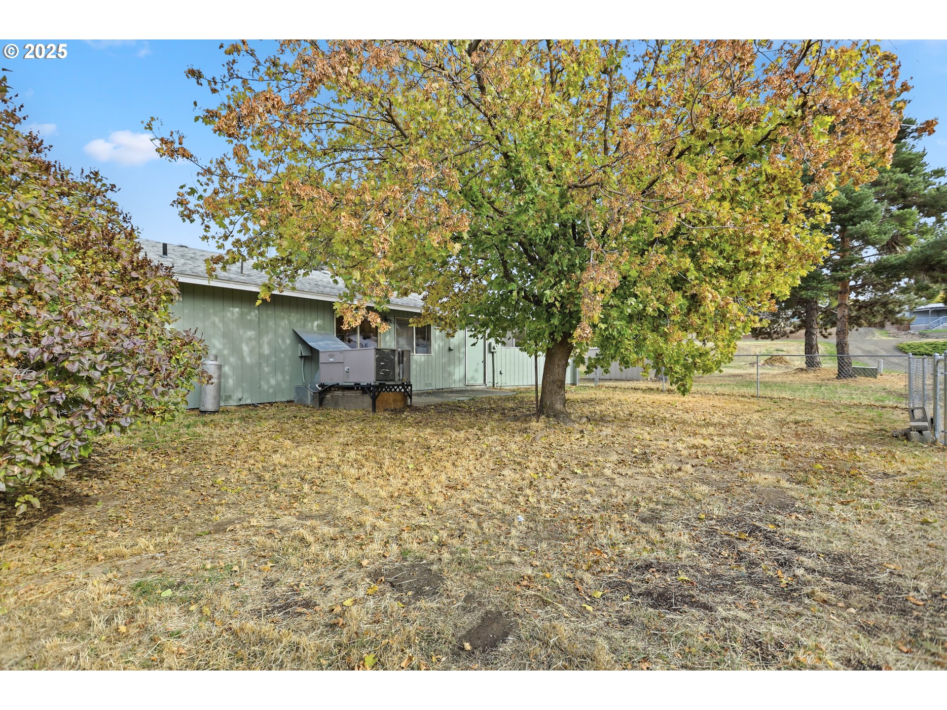 512 6th Street Wasco, OR 97065 - Photo 34 of 45 a backyard of a house with a trees