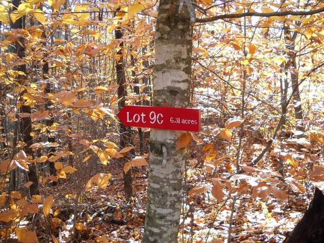 $79,000 | 1179 Nh Route, Unit LOT C, Orford, NH 03777