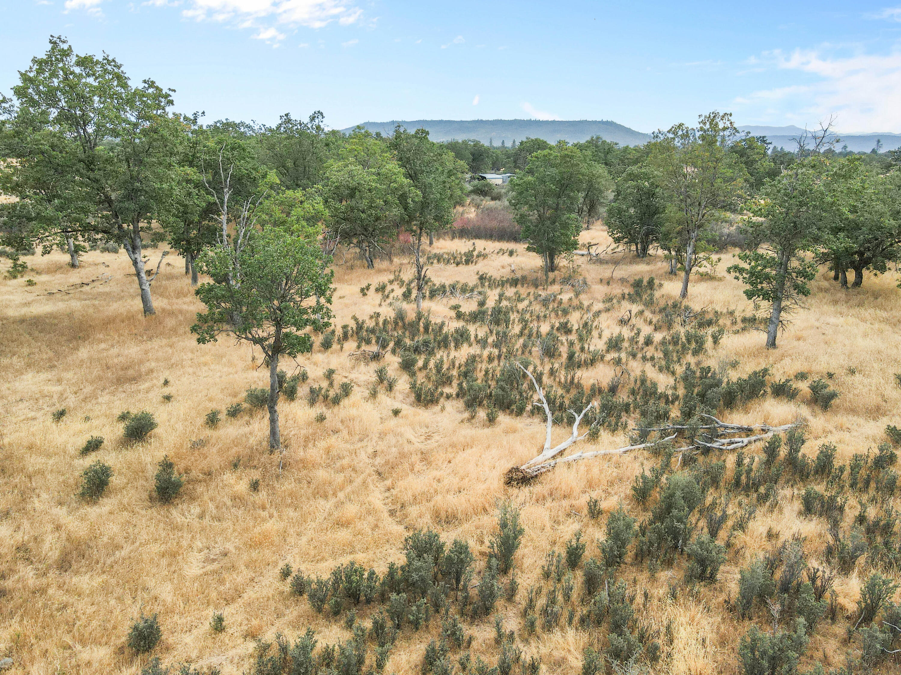 Winnetka Road White City, OR 97503 - Photo 6 of 9 dji_fly_20250801_162224_781_175409059287