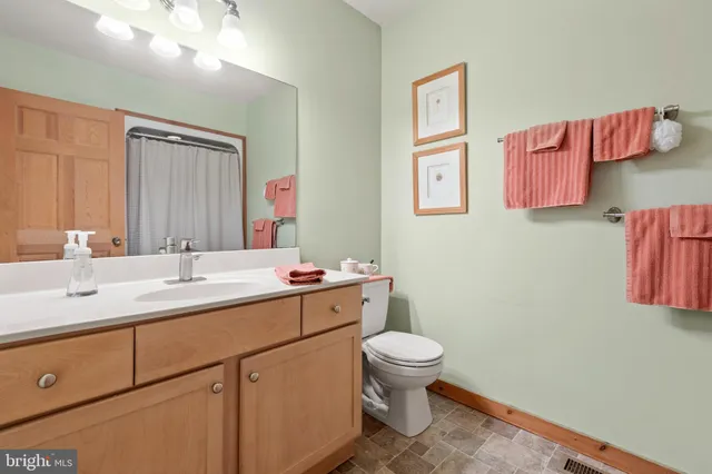 a bathroom with a sink a toilet and shower curtain