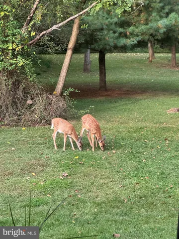 an aerial view of residential houses with outdoor space and trees