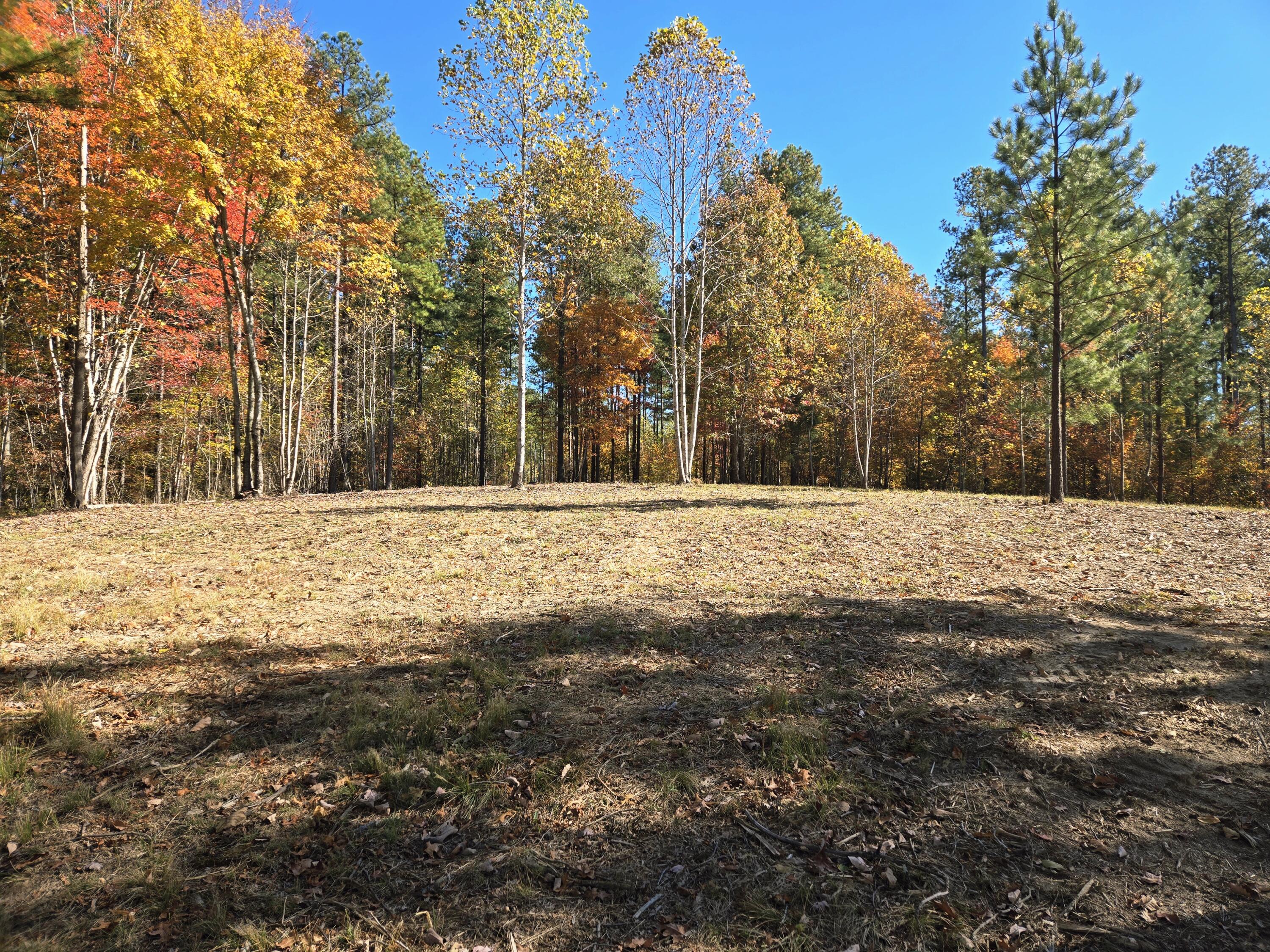 Lot 1070 Birds Eye Way Guild, TN 37340 - Photo 9 of 14 Building Site