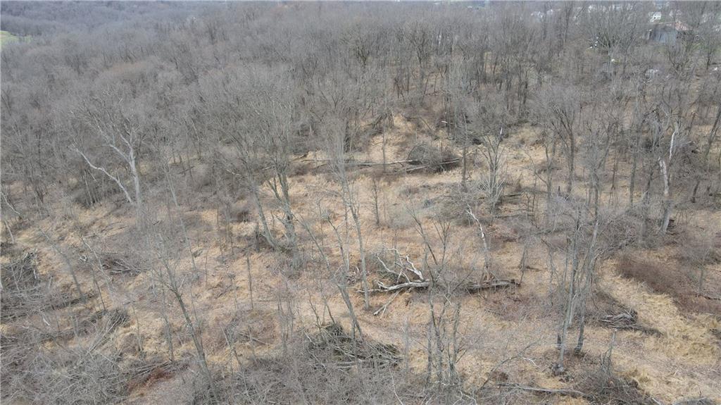 225 Profio Road McDonald, PA 15057 - Photo 40 of 49 a close view of shower tap