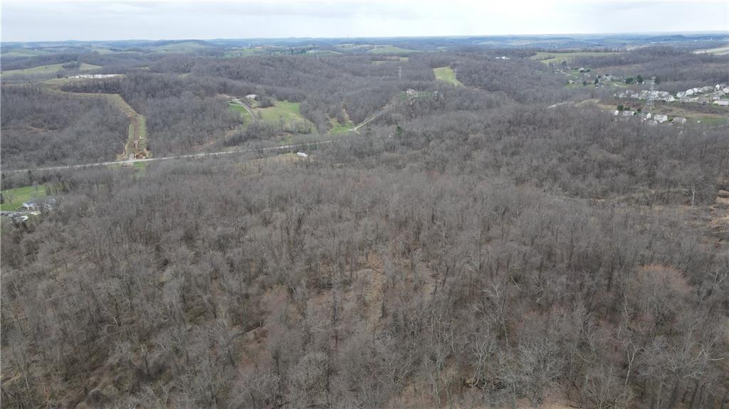 225 Profio Road McDonald, PA 15057 - Photo 48 of 49 a view of a dry yard with green space