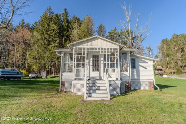 a view of a yard with large trees