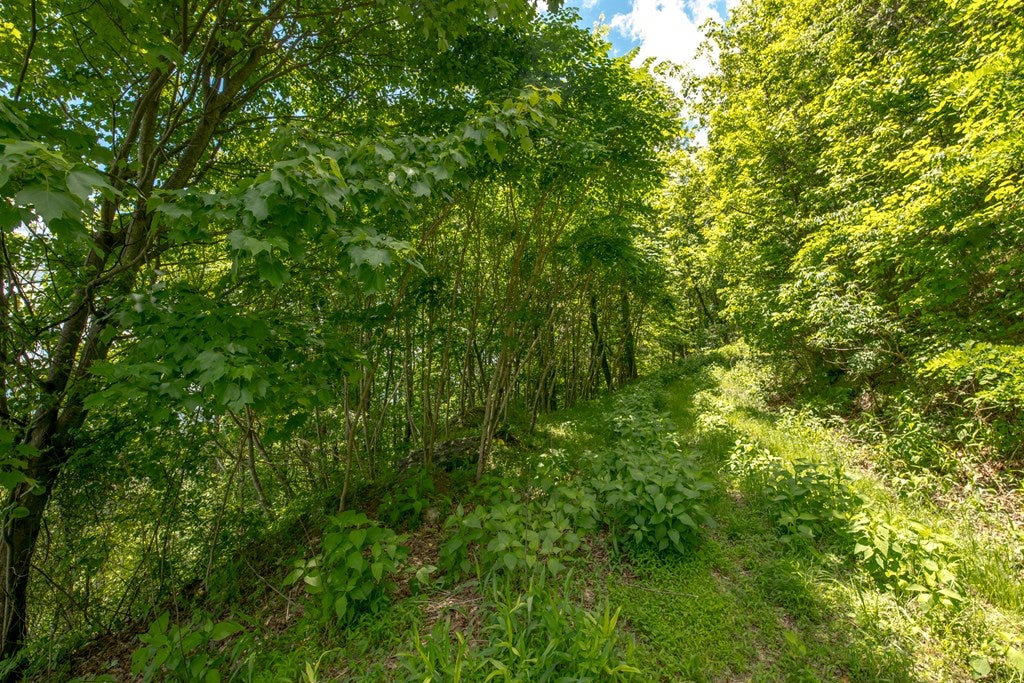 Cc Spring Pond Trail, Unit CC Fancy Gap, VA 24328 - Photo 16 of 46 Gallery Image 16